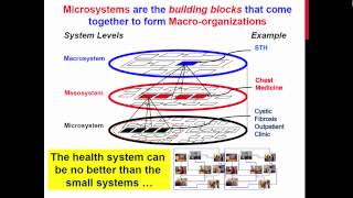 Clinical Microsystems: An Overview