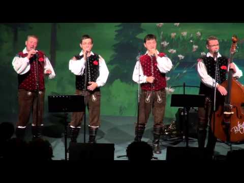 Ansambel Bitenc-Skrinjica (v živo)