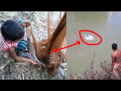 Most Satisfying Cast Net Fishing Video Catch Tons of Fish | Catching Lot Of Fishing By Cast Net