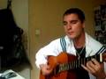 mr roux lhomme ordinaire guitare reprise 