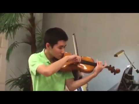 Promotional video thumbnail 4 for Ocean violinist