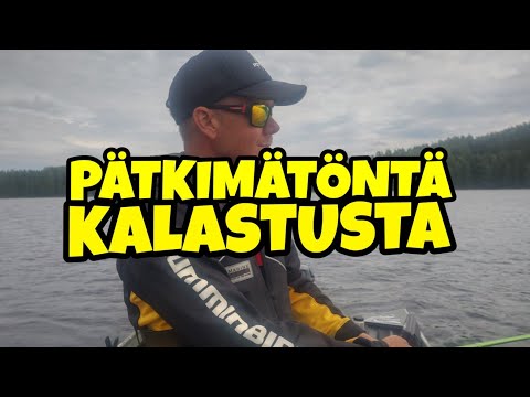 Pottukoira kalastaa-pätkimätöntä kalastusta