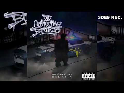 15.- MUCHOS CRITICARON - MR MARTINEZ