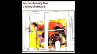 Section 25 - Once Before