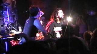 Darwin's Waiting Room - D I Y M