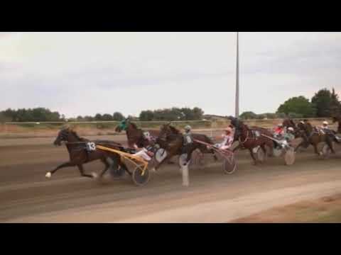 Corse cavalli di Trotto del 14 Luglio 2022