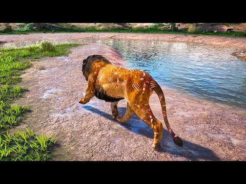 How I became the Alpha Lion of a PRIDE !