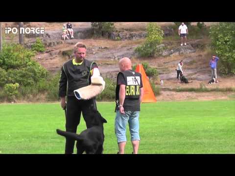 FCI NM IPO 2014 Erling Mathisen - Henriette vom Luberg - C