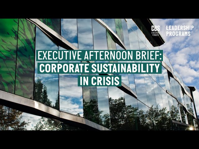 Corporate Sustainability in Crisis video thumbnail