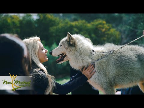 New Method Wellness thumbnail