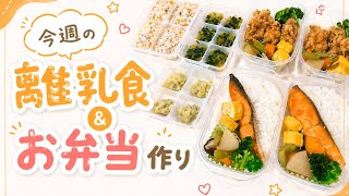 今週の離乳食&冷凍弁当4日分！/vlog