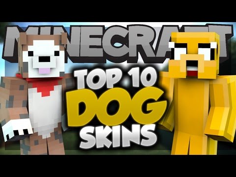 Unbelievable! Top 10 BEST Minecraft Dog Skins!