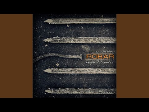 Perfect Enemies (feat. Guillaume Bideau)