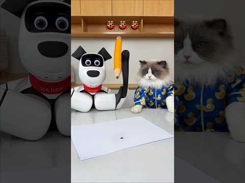 The robot and cat playing 😨| New Viral Gadgets,Smart Appliances, Kitchen Utensils/ Home Inventions