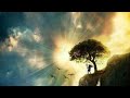 Sivan Status Tamil Lord Shivan Whatsapp Status Shivan Dialogue Whatsapp Status Anbaesivam Omshanti