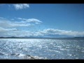 Flamants Roses - Ulkuos Flamants Roses