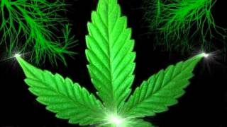 Run This Town (Who&#39;s gonna smoke some weed tonight)