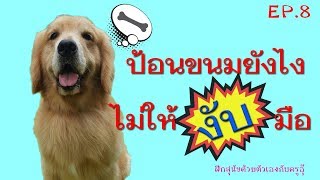 EP.8  ป้อนขนมยังไงไม่ให้งับมือ