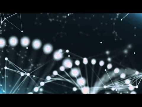 Wolves vs. ThePETEBOX