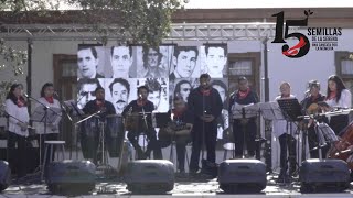 15 Semillas La Serena