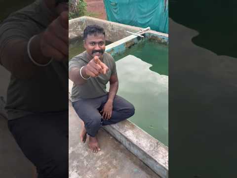 Let's see how many views this video of a plant leaf placed in water gets. #trending #viralshort
