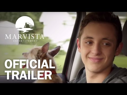 12 Dog Days Till Christmas - Official Trailer - MarVista Entertainment