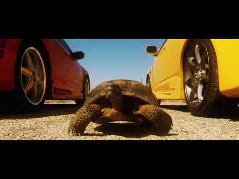 Torque furia en 2 ruedas