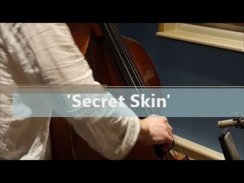 Secret Skin - Maurizio Minardi