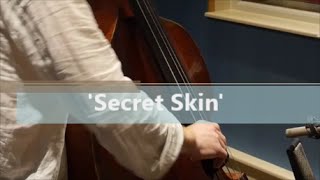 Secret Skin - Maurizio Minardi