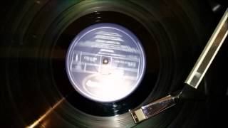 The Teardrop Explodes - Poppies in the field