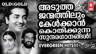 ഒരു മനുഷ്യായുസ്സ് മുഴുവൻ കേട്ടാലും മനസ്സിന് മടുപ്പില്ലാത്ത മനോഹര ഗാനങ്ങൾ | OLD IS GOLD..!