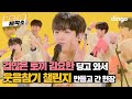 Kim Yohan - No More (Dingo Live)