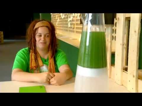 Lámpara Latro [Máquinas Verdes]