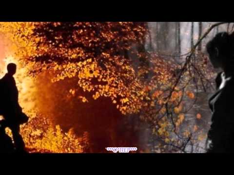 Концерт Воровайки В Avi Качестве Торрент