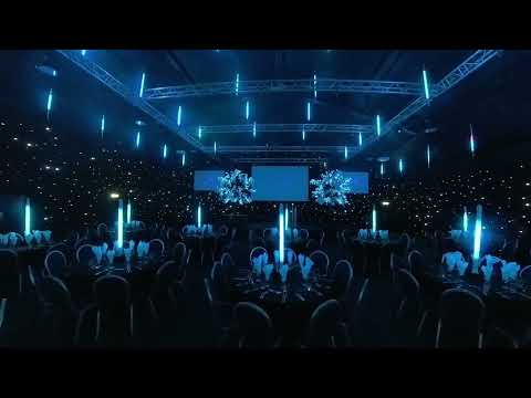 LED pixel tube and pixel tree event lighting