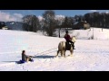 welsh cob, pullin tiny sled + bareback riding 