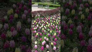 Kingswood center Mansfield ohio