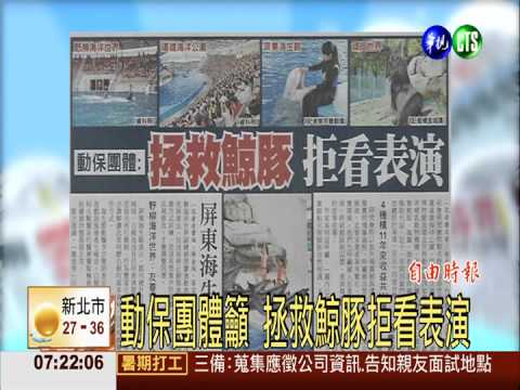動保團體籲 拯救鯨豚拒看表演