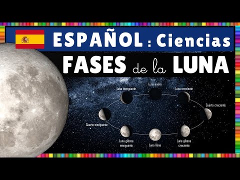 Science: Phases of the Moon in Spanish