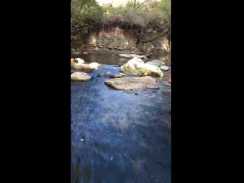 Playing just below the main falls