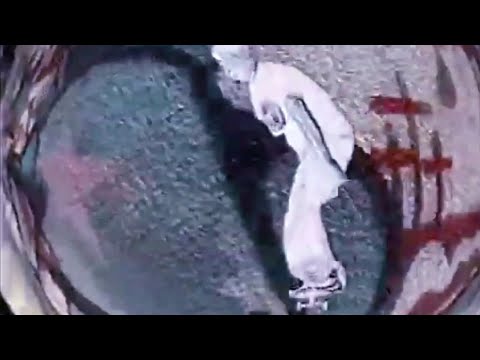 TRIPLEBEATSCALE & ROLAND JONES - G FROM MEMPHIS