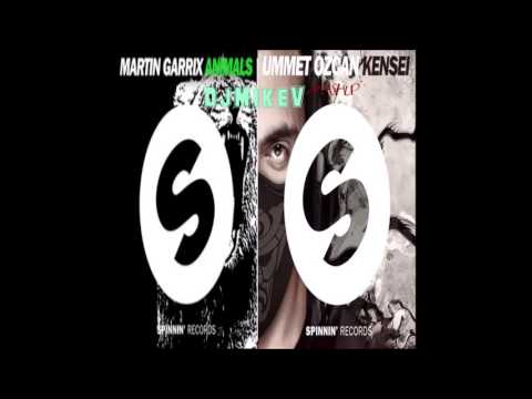 Martin Garrix Vs Ummet Ozcan-Animals Kensei(DjMikeV Mashup)
