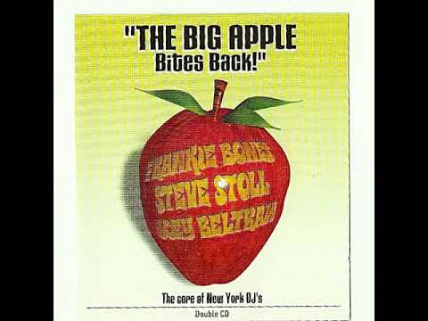 Disco storia! Steve Stoll - Beat Size