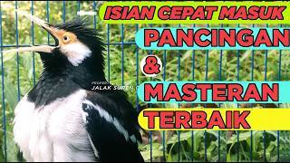 Download lagu Burung Jalak Suren Full Isian Tembakan Mewah Cililin Tengkek Buto Suara Unik mantap mp3 Download lagu Burung Jalak Suren Full Isian Tembakan Mewah Cililin Tengkek Buto Suara Unik mantap mp3