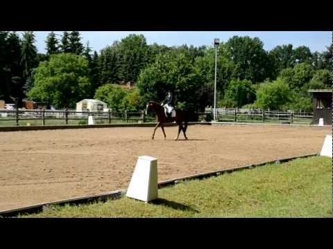 M-Dressur (M5) Hellendorf 2012, 2. Platz, v. Rotspon