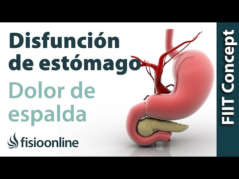 Disfunciones de estómago y dolor de espalda, dorsal, cervical, hombro - Causas y tratamiento