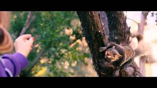 Squirrel Movie