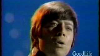 Bobby Goldsboro - The Straight Life