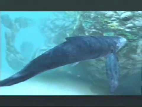 Ecco The Dolphin Defender of the Future - Trailer - PS2