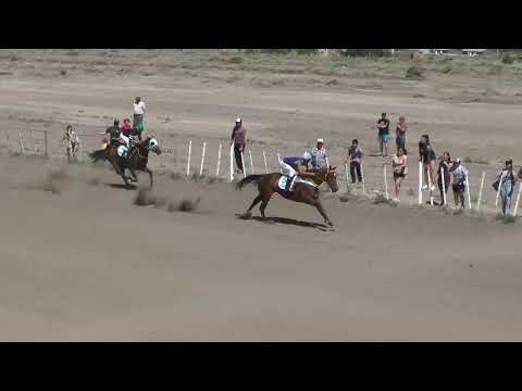 CURIOSA  Club Hipico "Cabo Alarcon" -    Picun Leufu -  04-12-2022